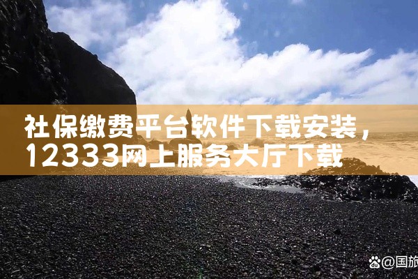 社保缴费平台软件下载安装