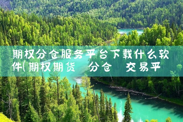 期权分仓服务平台下载什么软件