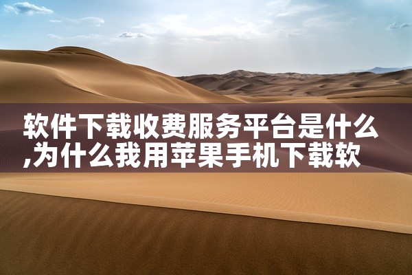 软件下载收费服务平台是什么