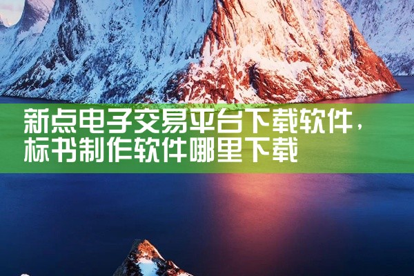 新点电子交易平台下载软件