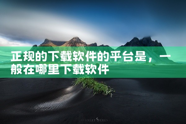 正规的下载软件的平台是