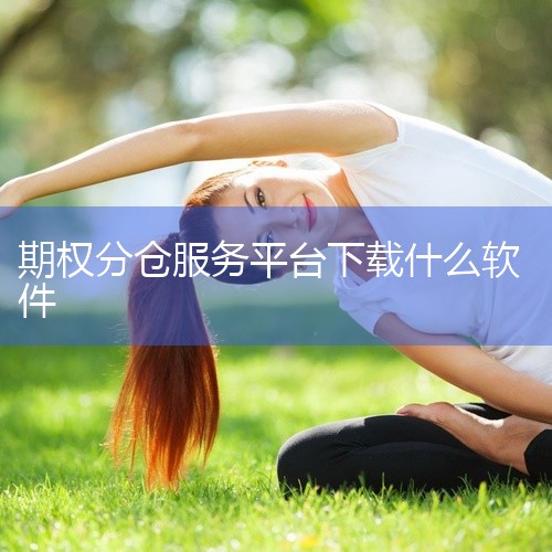 1. 汇点（Huipoint）汇点是一款功能强大的期权交易软件，被广大投资者广泛使用。其特色功能之一是键盘...|