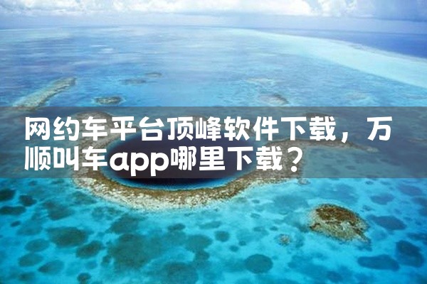 网约车平台顶峰软件下载