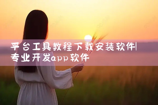 平台工具教程下载安装软件